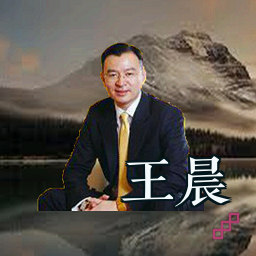王晨